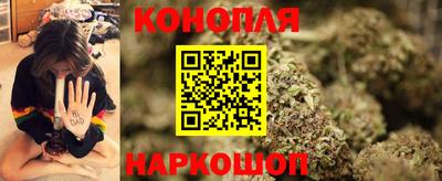 apvp Аргун
