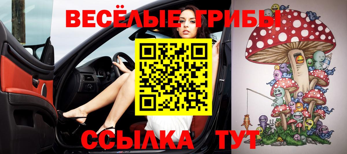 Галлюциногенные грибы Psilocybe Батайск